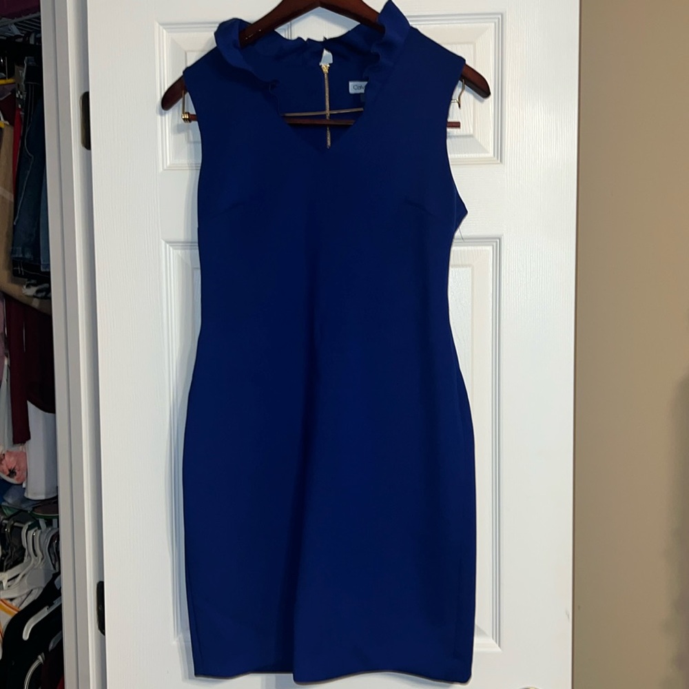 Calvin Klein dress, size 8 worn once.